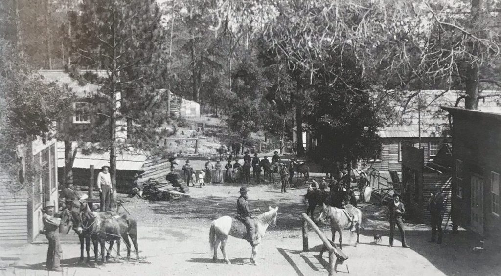 Manchester, heart of the Los Burros Mining District, c. 1889 — the lost town alive: pack horses in the street, cabins and false-front buildings under the pines, near the Last Chance Mine. Fires between 1889 and 1897 erased every trace.