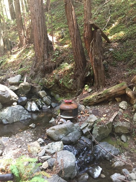 The arrastra site on Plaskett Creek — the family's water-powered gold mill.