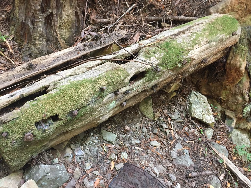 Moss-grown timber from the Plaskett Creek arrastra with rows of iron bolts that once held the water-powered works together.