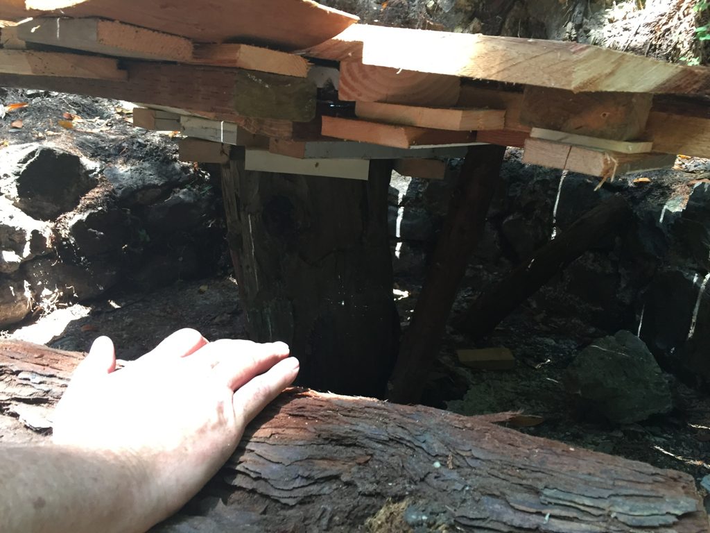 Under the protective platform at the arrastra basin (hand for scale): an original post still standing beneath the modern cover.
