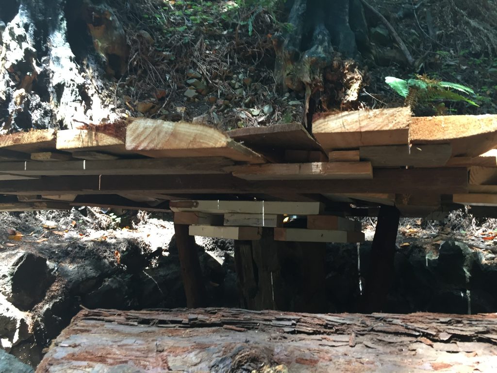 Side view of the plank cover protecting the arrastra pit at Plaskett Creek, resting on timber posts above the stone-lined basin.