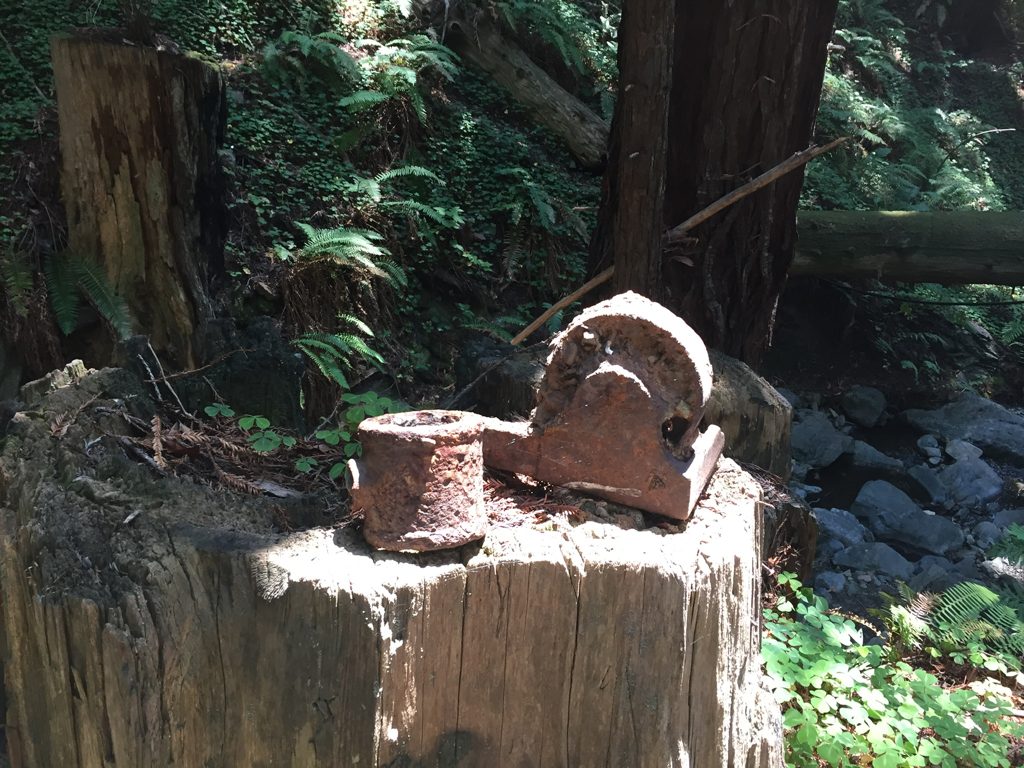 Iron hardware from the arrastra set out on a timber post at Plaskett Creek — a pipe collar and a heavy bearing casting from the drive works.