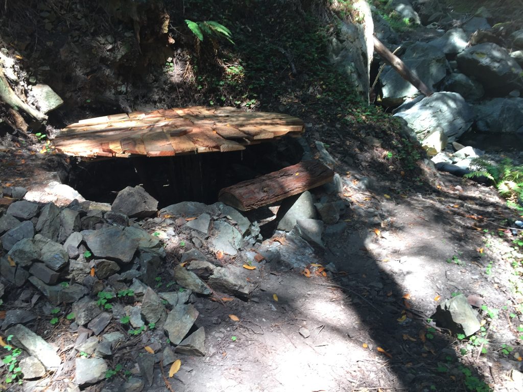 The round platform over the arrastra basin at Plaskett Creek — the circular footprint marks where drag stones once ground gold ore.