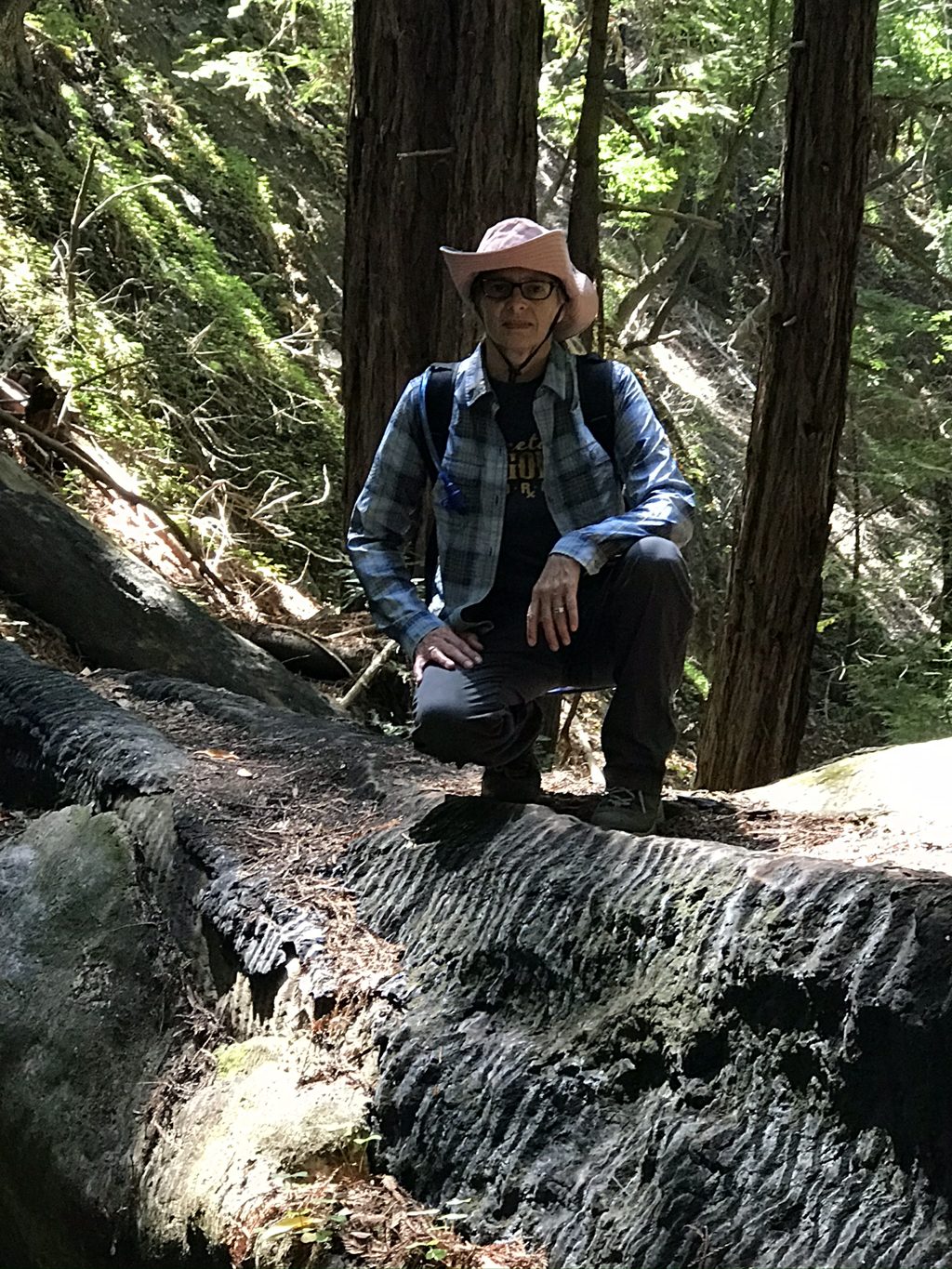 Kim Alderson on the great fallen redwood log across Mill Creek.