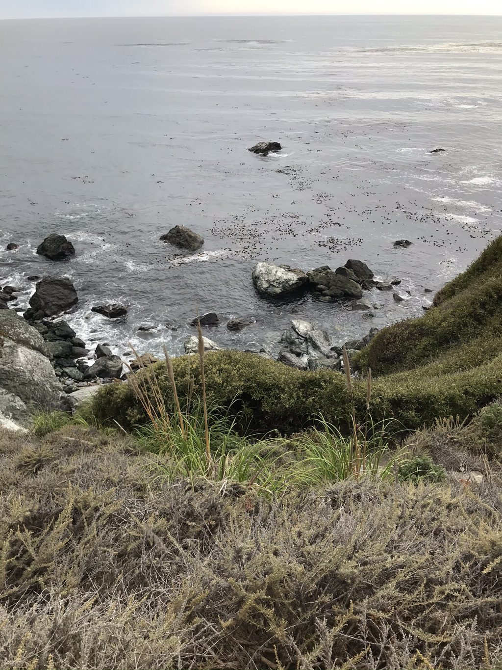 Swirled white-and-green rock walls of the cove — the colors that give Jade Cove its name.
