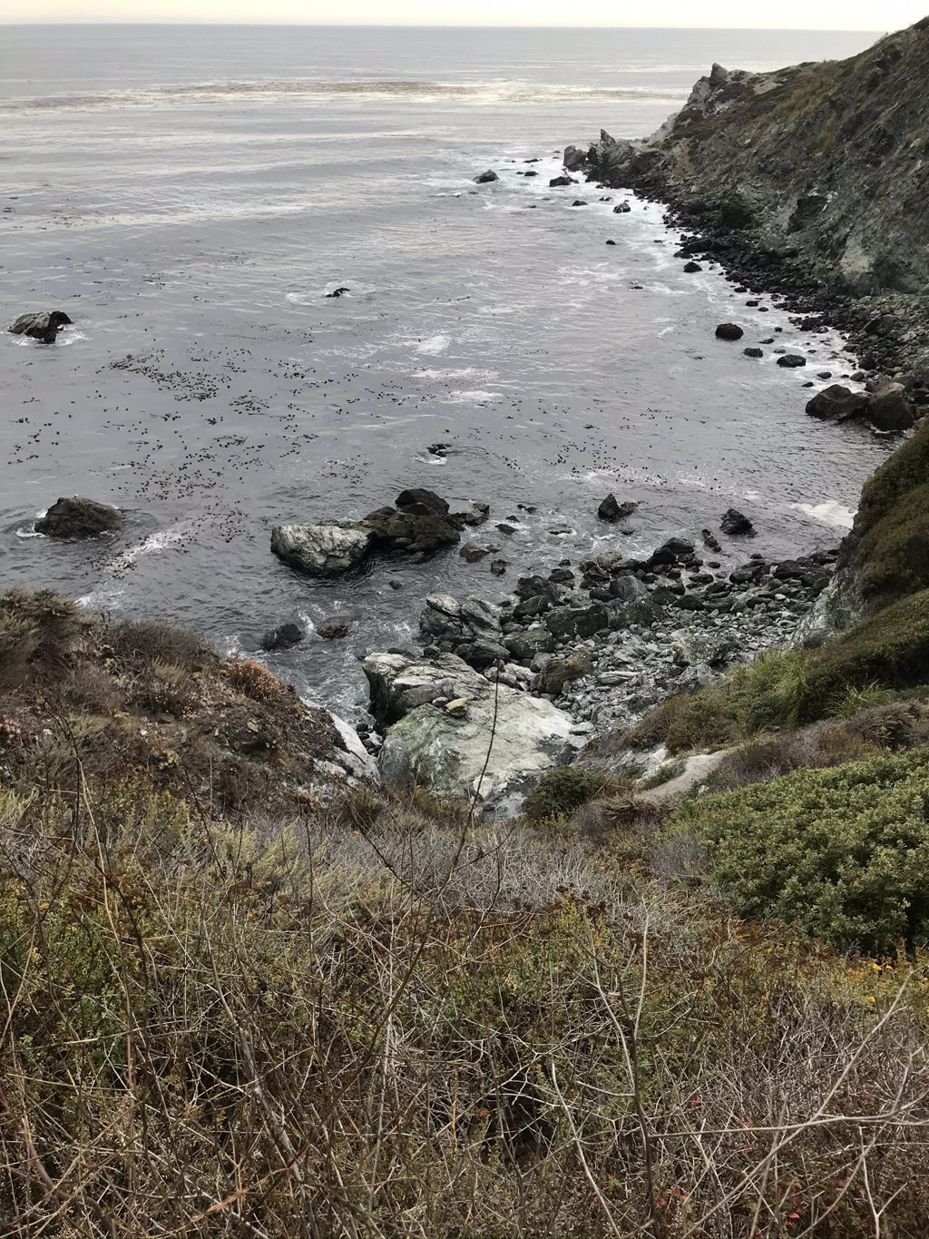 Looking down into Jade Cove from the descent: the rocky beach where generations have hunted green stone.