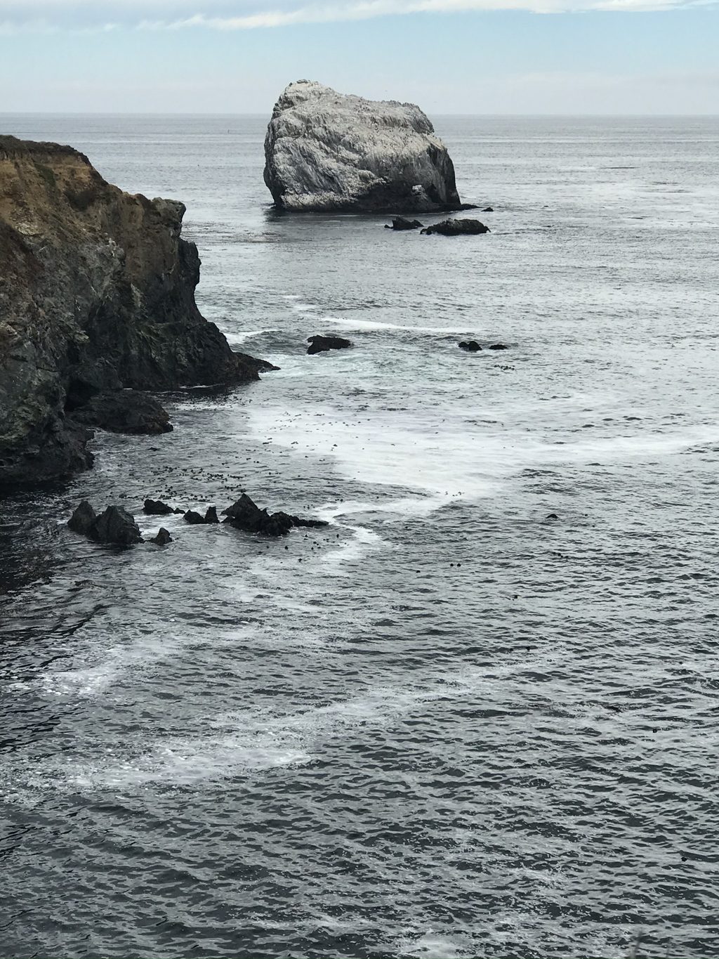 Plaskett Rock up close from the point — seabirds whitewash the crown, kelp beds ring the base.
