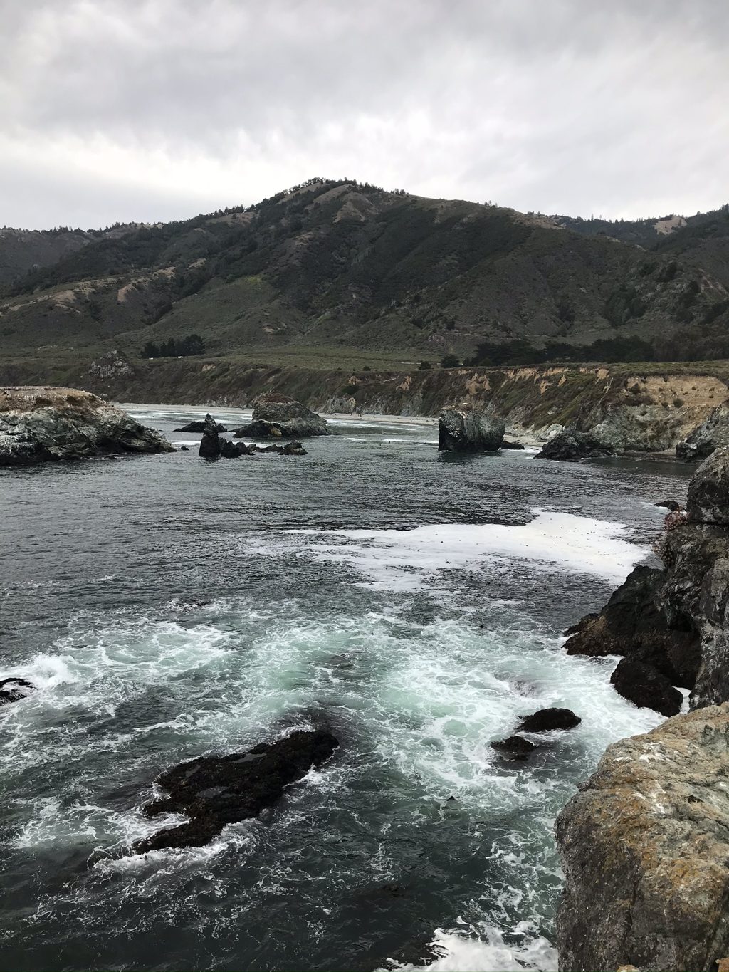 From the point, looking back across the cove to Pacific Valley and the wall of the Santa Lucias.