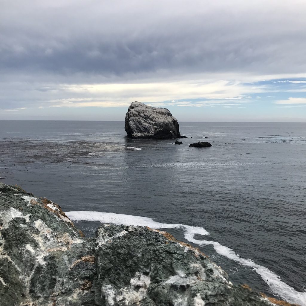 Plaskett Rock square-on across the kelp, from the green serpentine shelf of the point.
