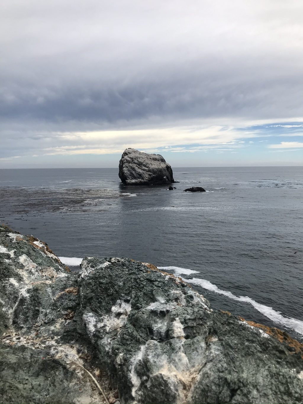 Plaskett Rock from the point, the jade-green serpentine of the shoreline in the foreground.
