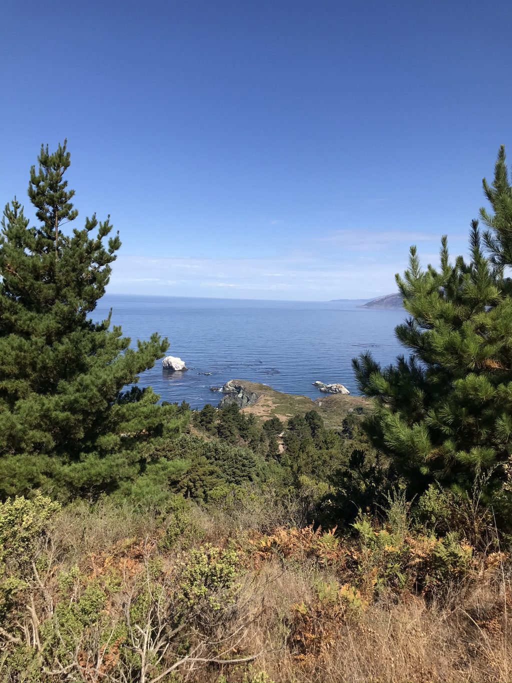 Plaskett Rock through the pines from the ridge trail.