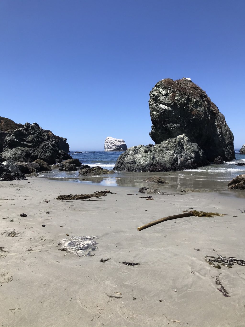On the sand at last: sea stacks, a washed-up kelp stipe, and Plaskett Rock in the channel beyond.