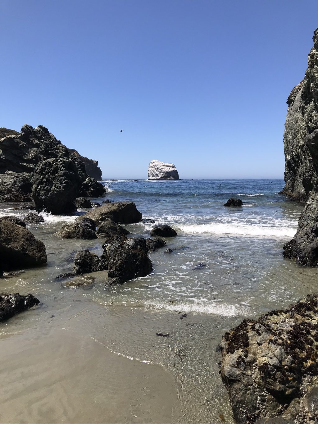 Plaskett Rock framed between the dark stacks at the north end of Sand Dollar Beach, a gull overhead.