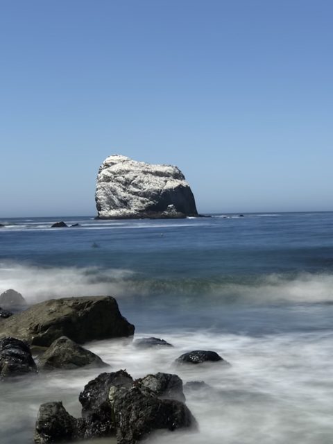 Surf and stone: the coast turns wild north of here.