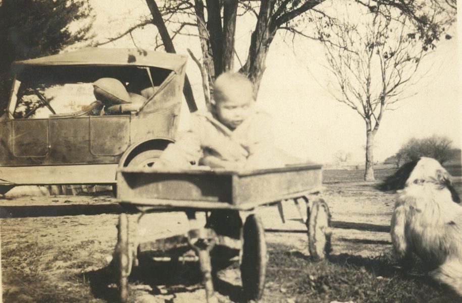 Unidentified Plaskett family photograph #492