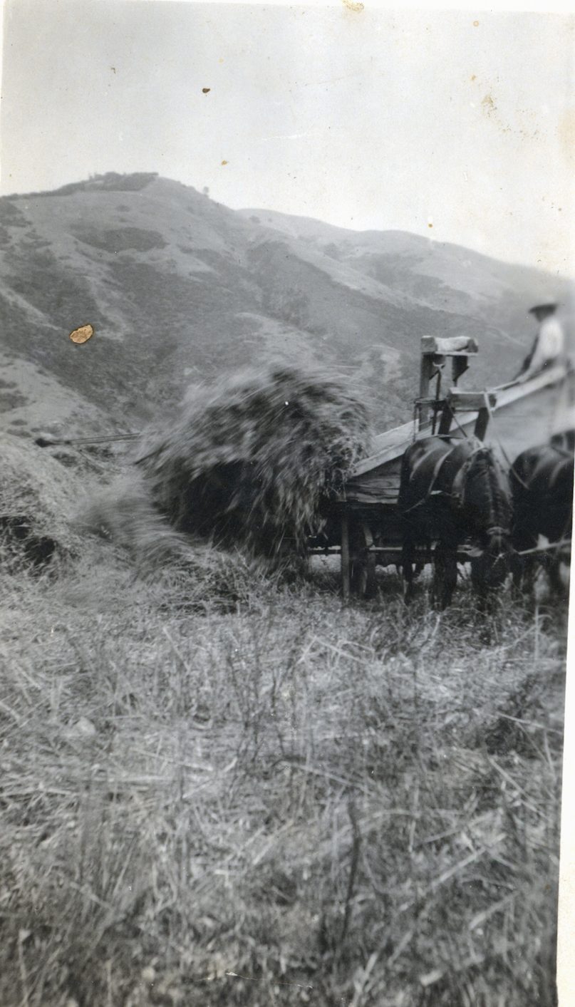 Unidentified Plaskett family photograph #510