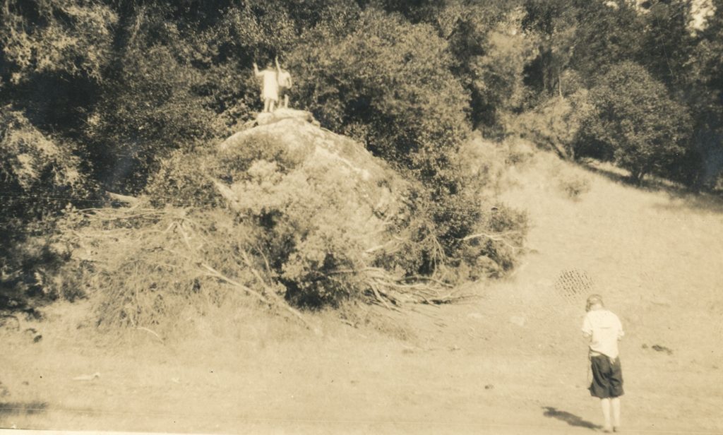 Unidentified Plaskett family photograph #515
