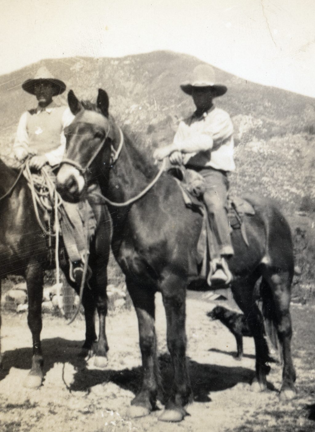 Unidentified Plaskett family photograph #522