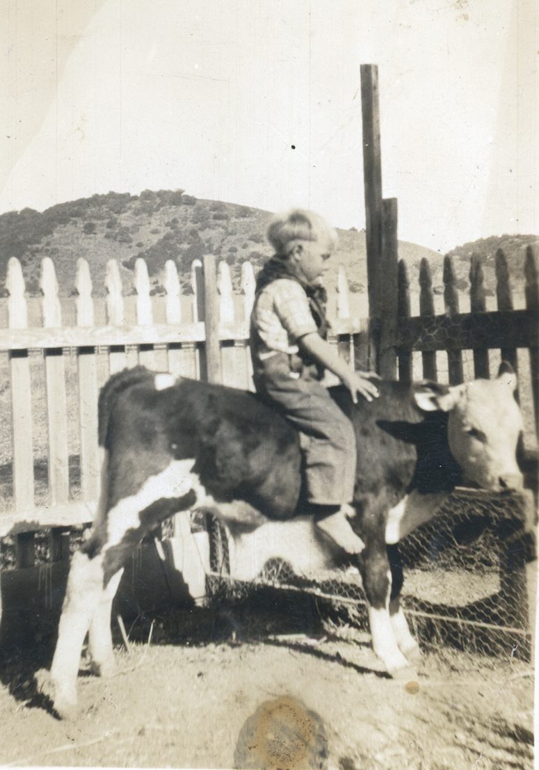 Unidentified Plaskett family photograph #528