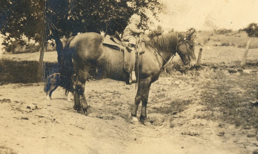 Unidentified Plaskett family photograph #529