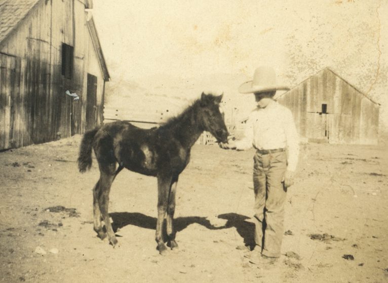 Unidentified Plaskett family photograph #536