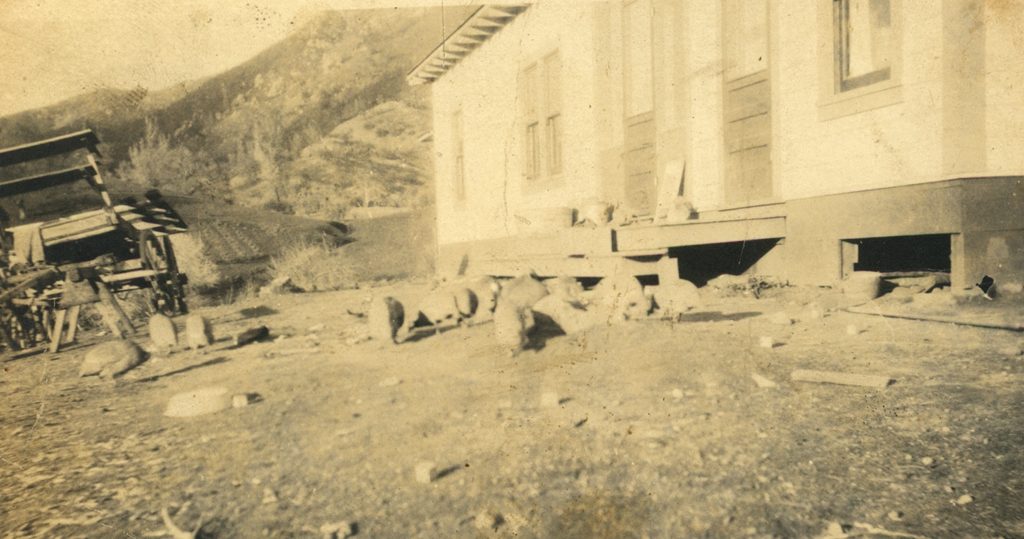Unidentified Plaskett family photograph #542