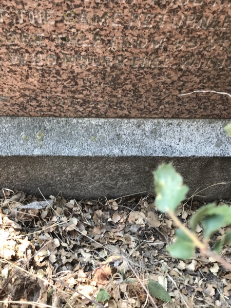 IMG_3286