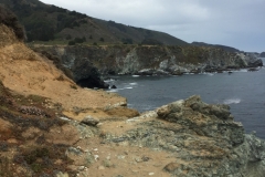 IMG_0220