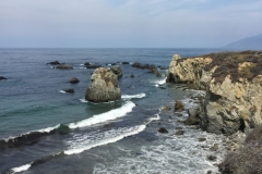 IMG_0498