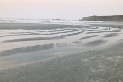 IMG_3207