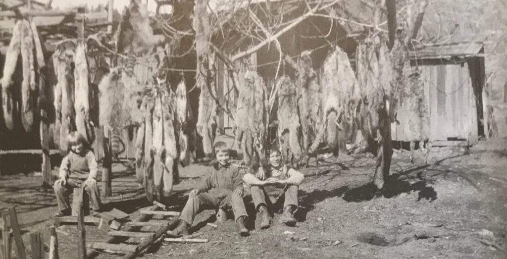 Krenkel Ranch Animal Fur Trapping c. 1926